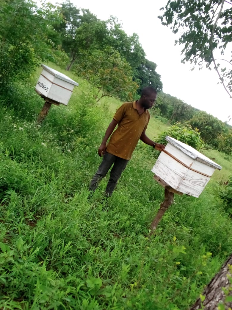 Beekeeper at apiary