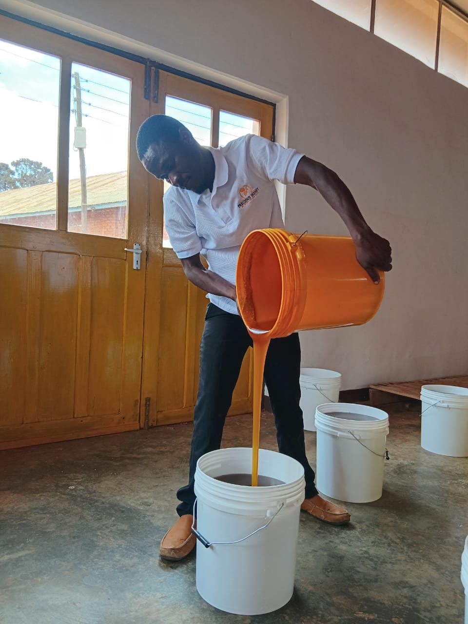 Beehives and honey business